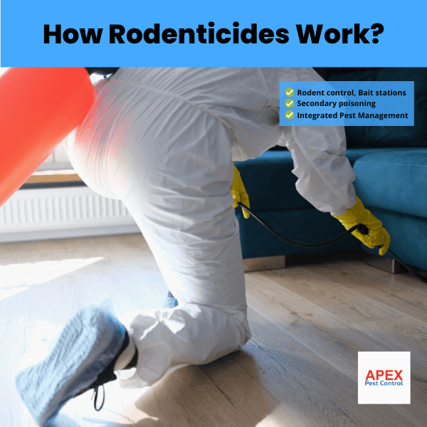 how rodenticides work