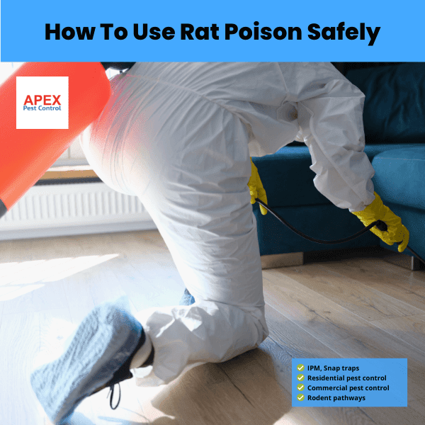 how to use rat poison safely