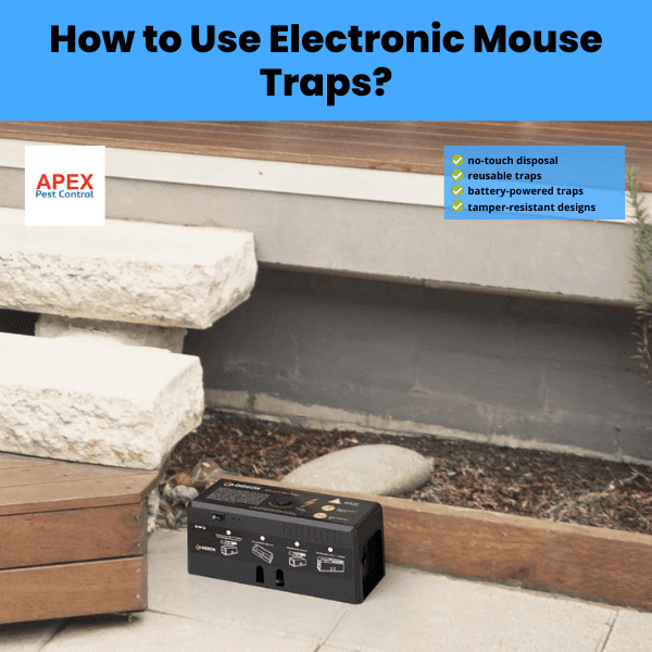 how to use electronic mouse traps