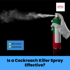 Is a Cockroach Killer Spray Effective
