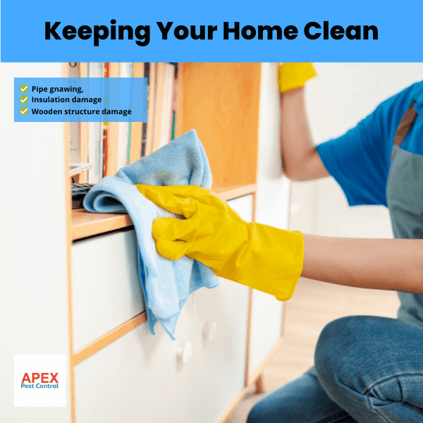 keeping your home clean