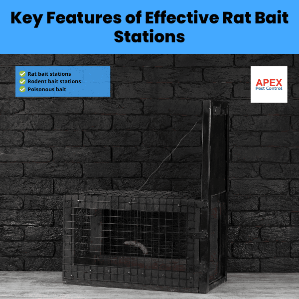 Key Features of Effective Rat Bait Stations