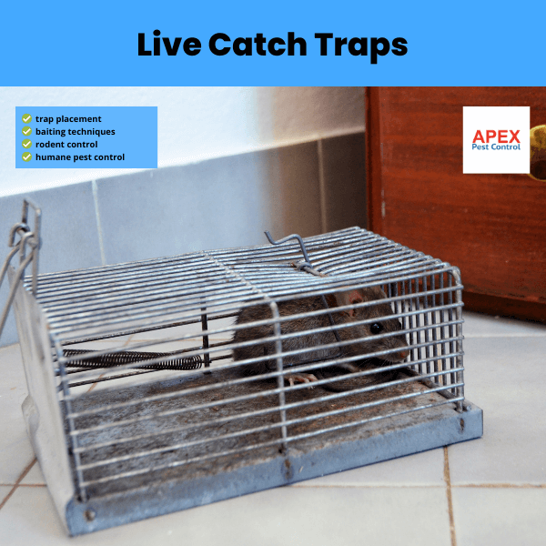 live catch traps