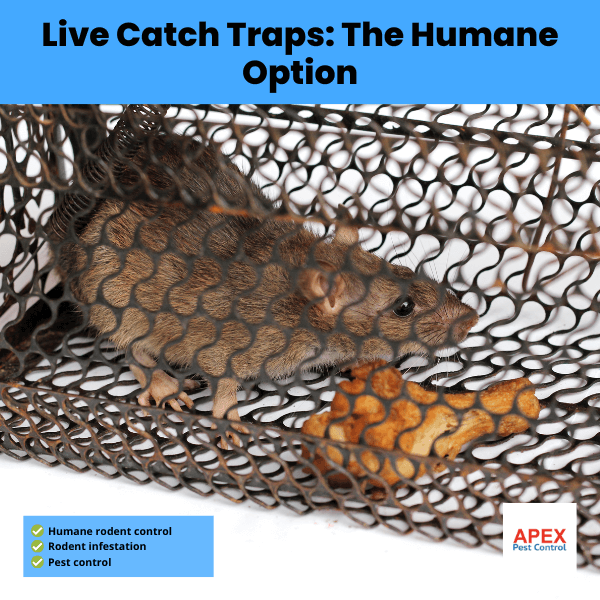 live catch traps the humane option