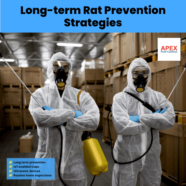 long term rat prevention strategies