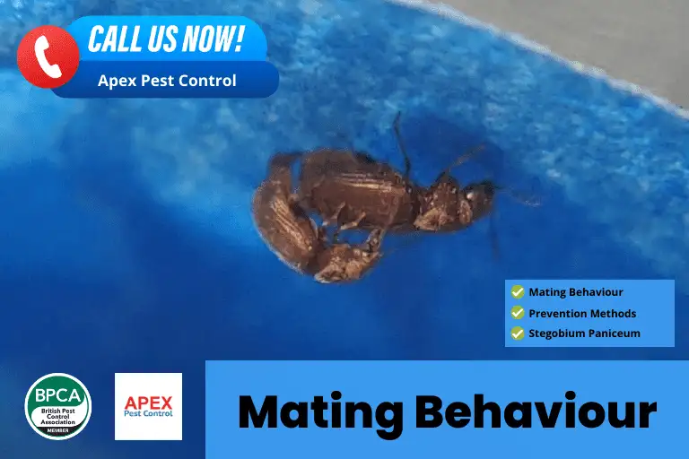 Mating Behaviour