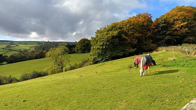 mayfield valley