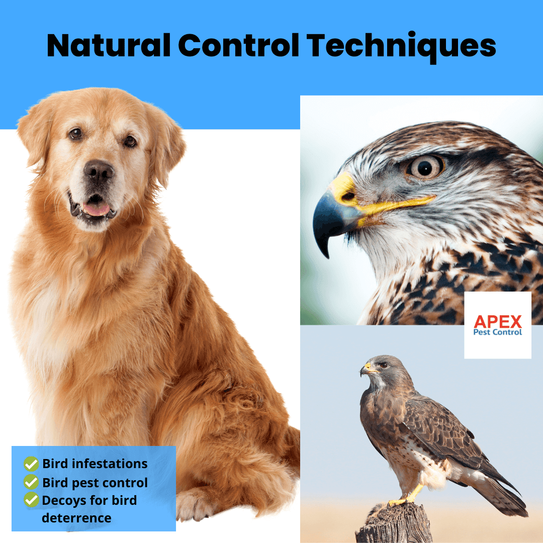 Natural Control Techniques