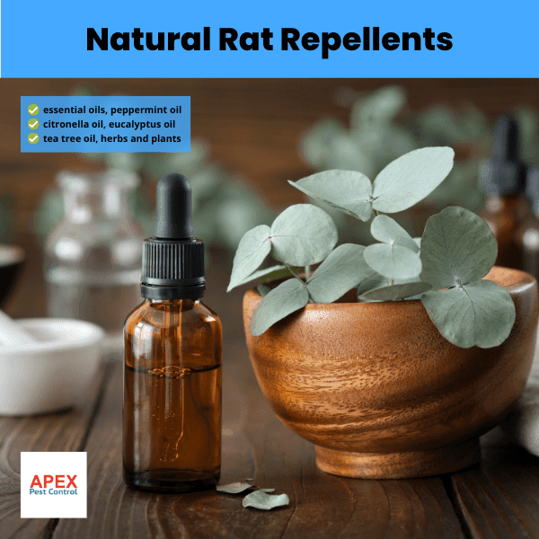 natural rat repellents