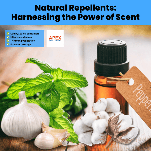 natural repellents harnessing the power of scent