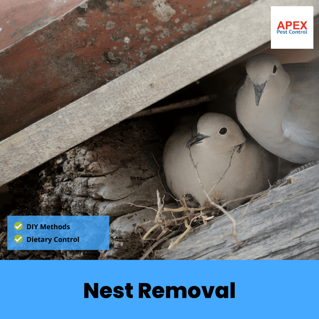 Nest Removal