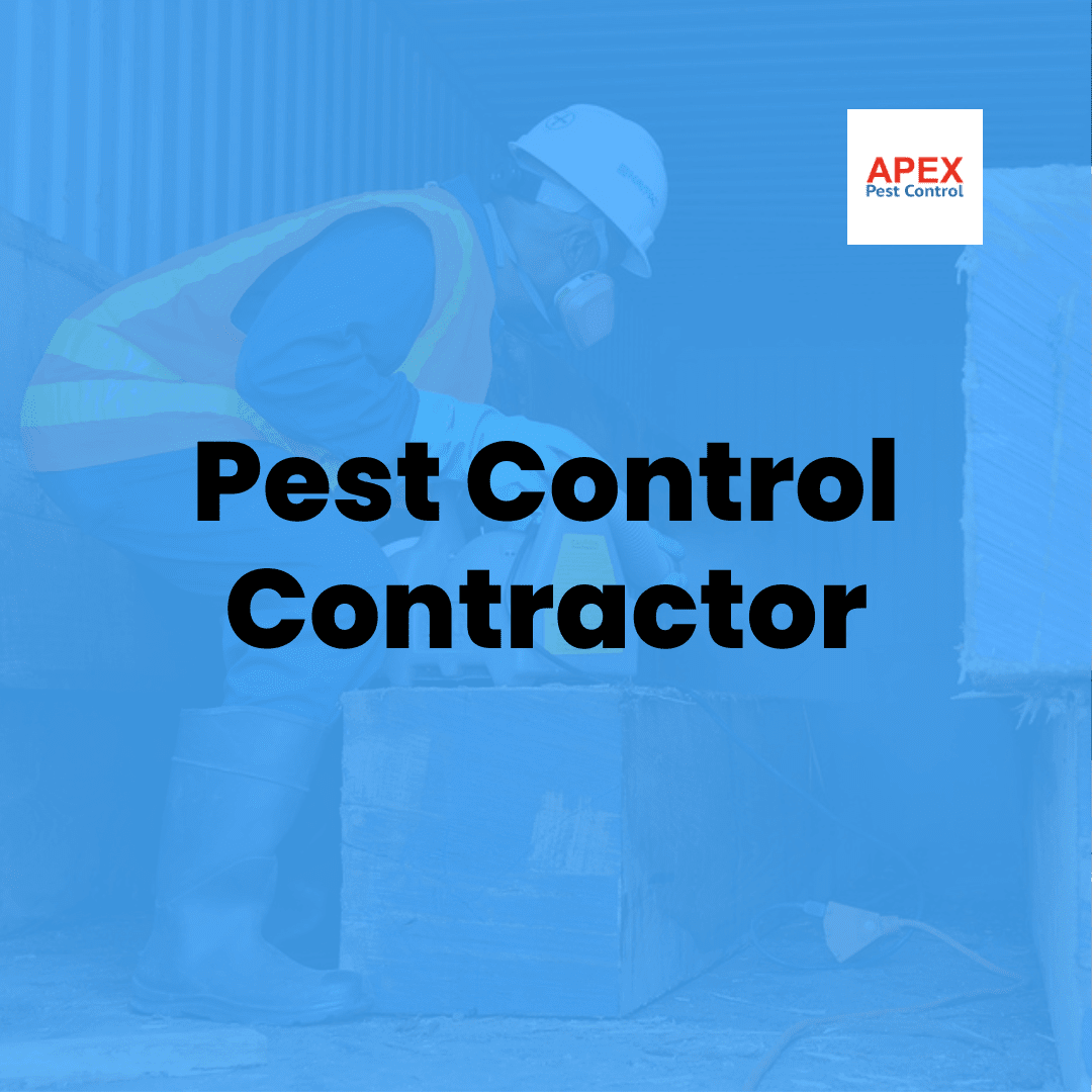 Pest Control Contractor