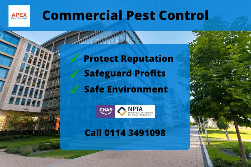 Pest Control For Office Buildings