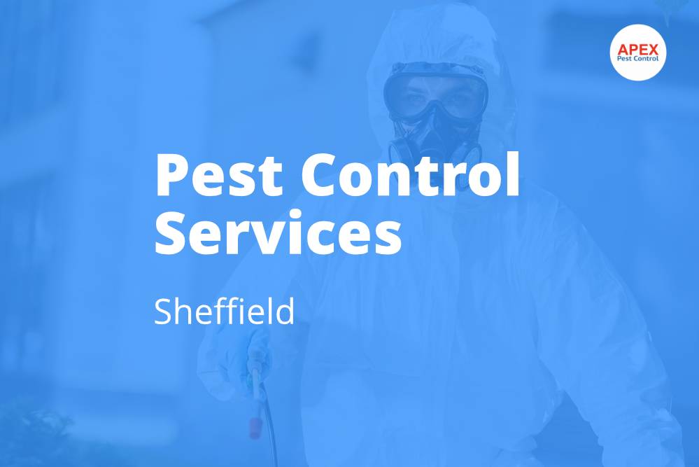 pest control services sheffield