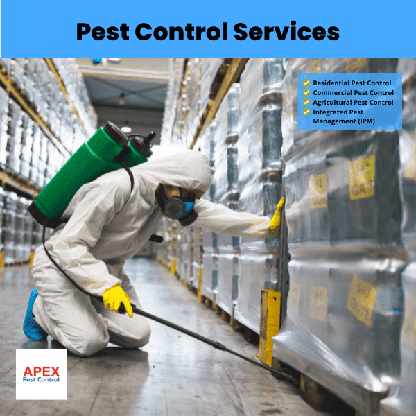 Pest Control Services_ An Overview