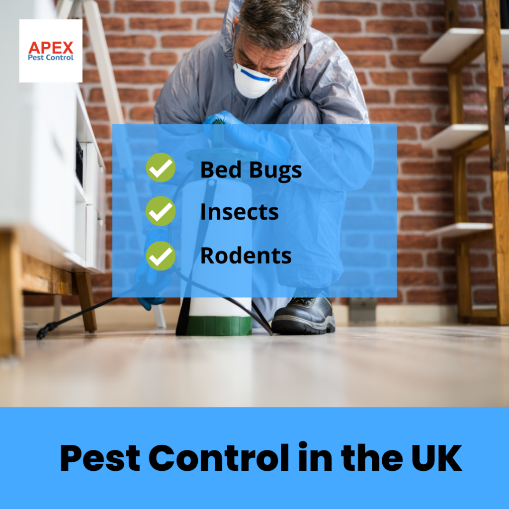 Pest control company UK
