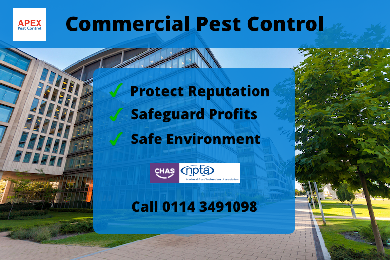 pest control for office buildings