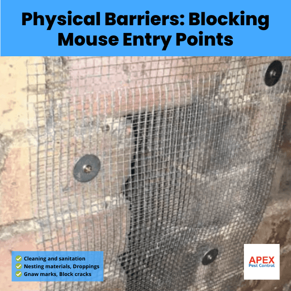 physical barriers blocking mouse entry points