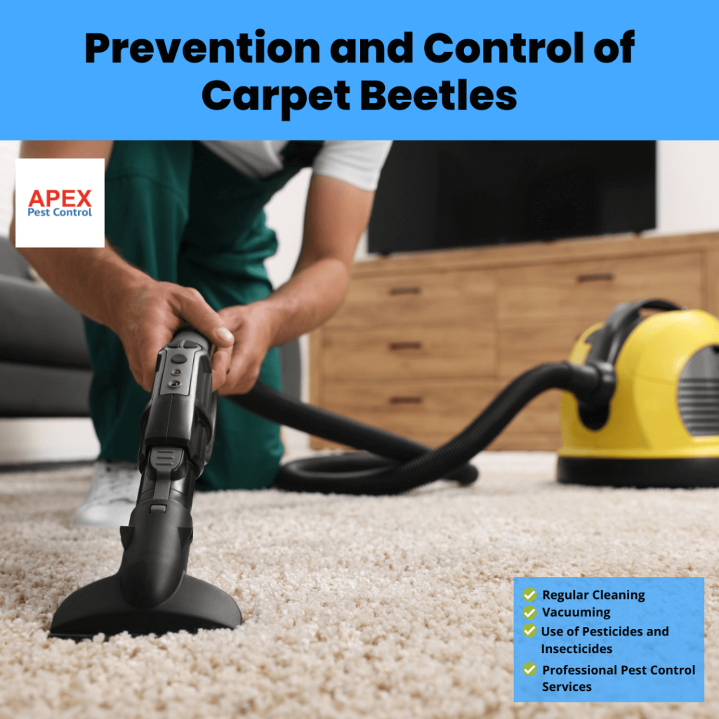 Prevention and Control of Carpet Beetles