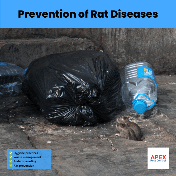 prevention of rat diseases