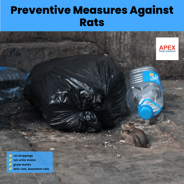 Preventive Measures Against Rats