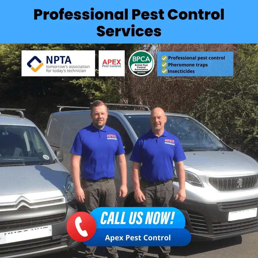 Professional Pest Control Services