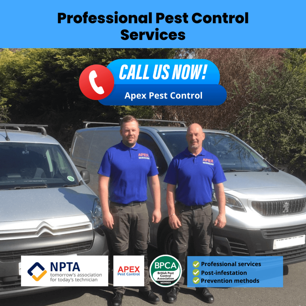 Professional Pest Control Services