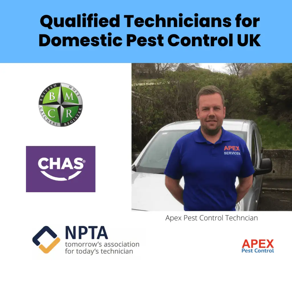 Professional Pest Technician