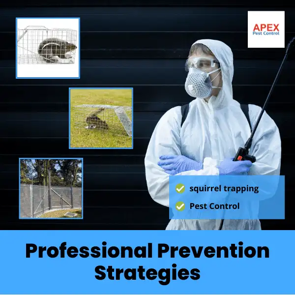 Professional Pest Prevention Strategies - Itegrated Pest Management by Apex Pest Control