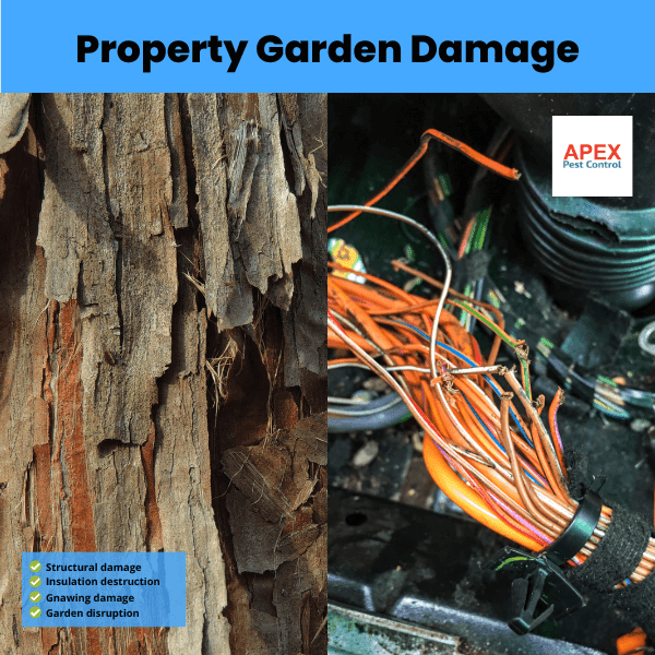 property garden damage