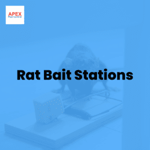 Rat Bait Stations