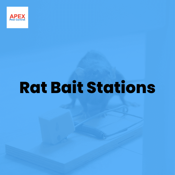 Rat Bait Stations