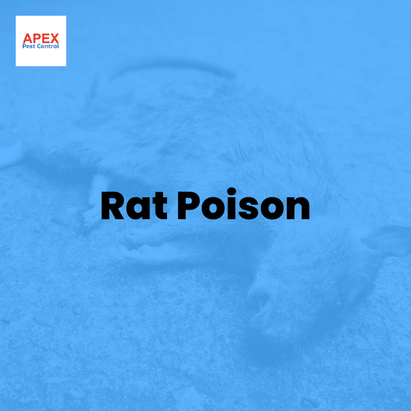 rat poison