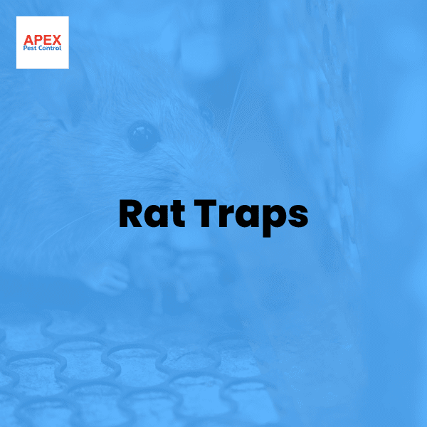 rat traps