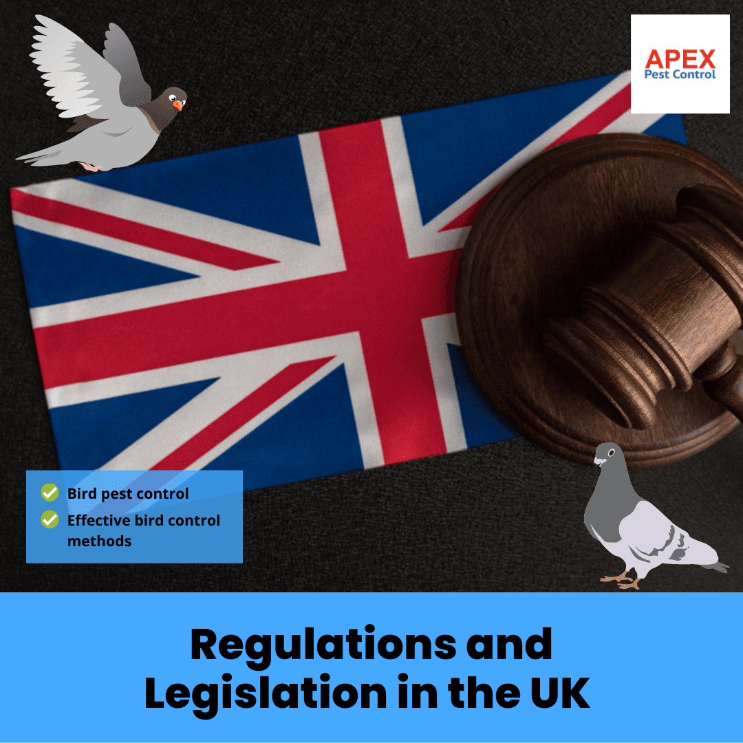 Regulations and Legislation in the UK