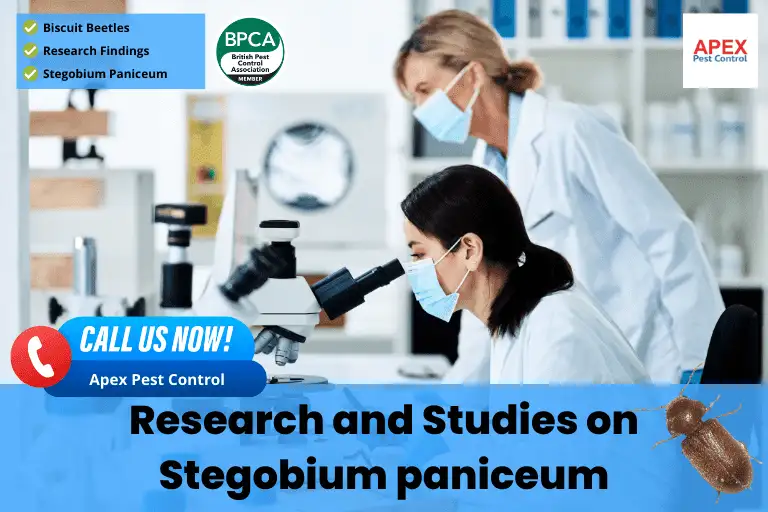 Research and Studies on Stegobium paniceum