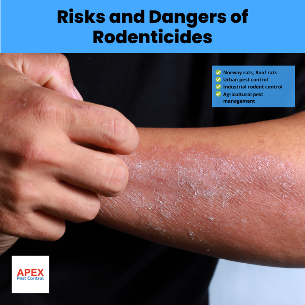 risks and dangers of rodenticides