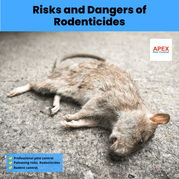 risks and dangers of rodenticides