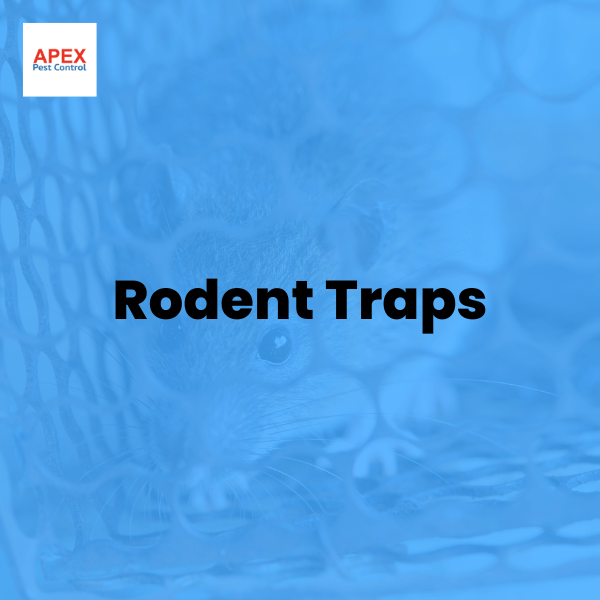 rodent traps