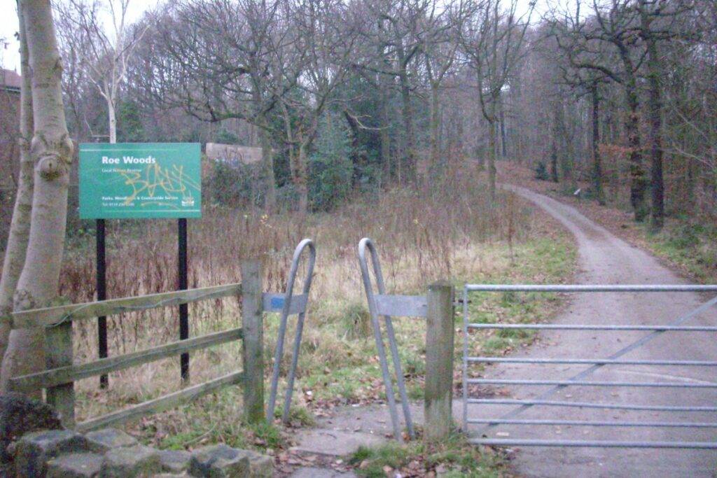roe wood nature walk