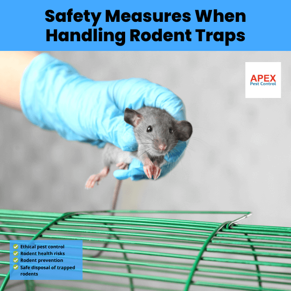 safety measures when handling rodent traps