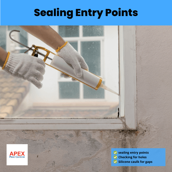 sealing entry points