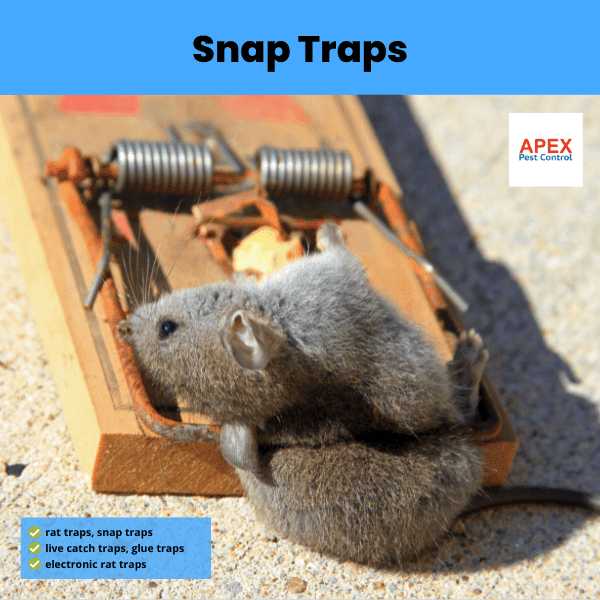 snap traps