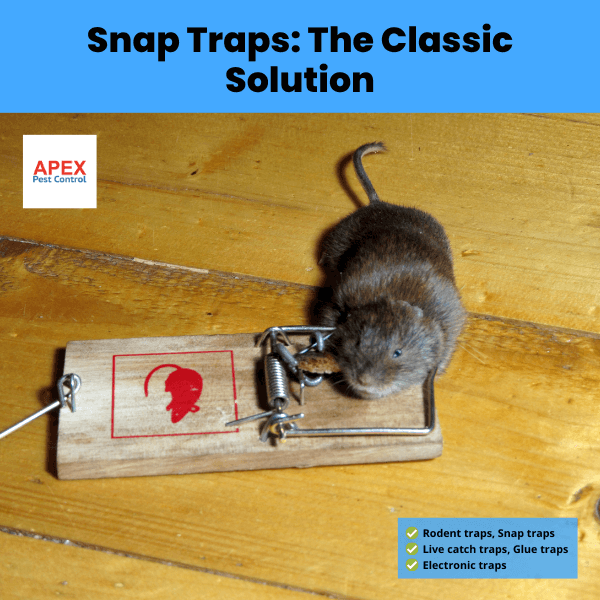 snap traps the classic solution