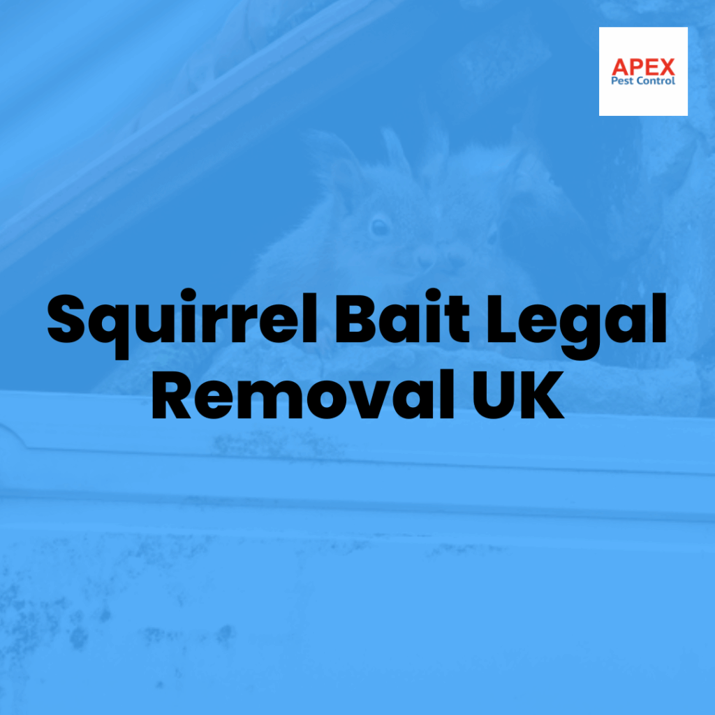 squirrel bait legal removal uk