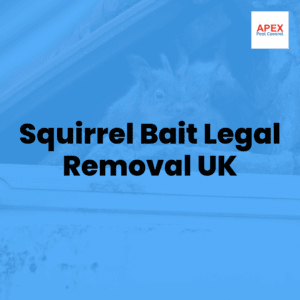 squirrel bait legal removal uk