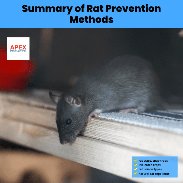 summary of rat prevention methods