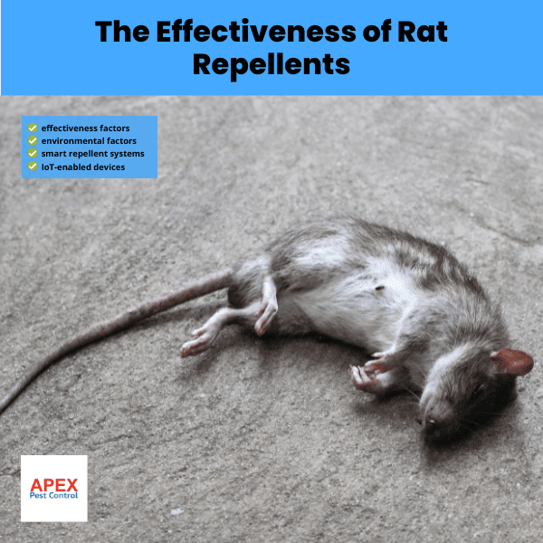 the effectiveness of rat repellents