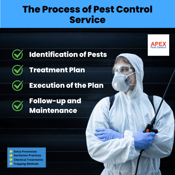 The Process of Pest Control Service