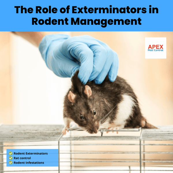 The Role of Exterminators in Rodent Management